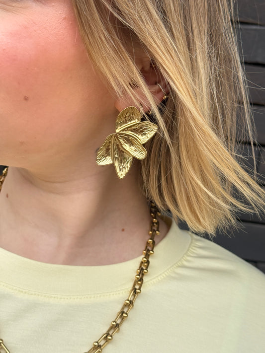 Boucles d'oreilles Loli