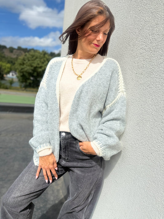 Gilet Aspen gris