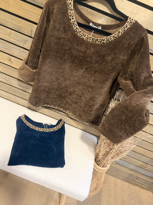 Pull Mya chocolat