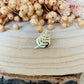 Pin's fantaisie